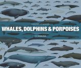 Whales, Dolphins and Porpoises: A Natural History and Species Guide